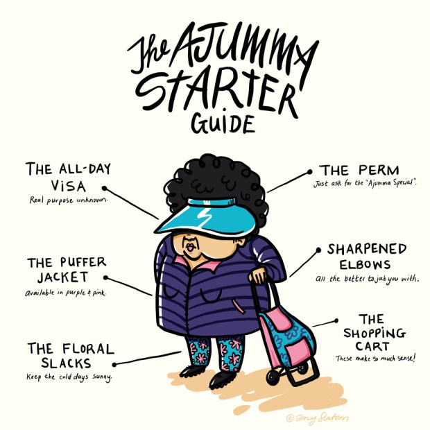 Ajumma-Starter-Guide